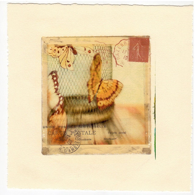 Fine Art Photography Inkjet Image Transfer Butterfly Cage 8x8 Photo Modern Wall Decor, Office Decor