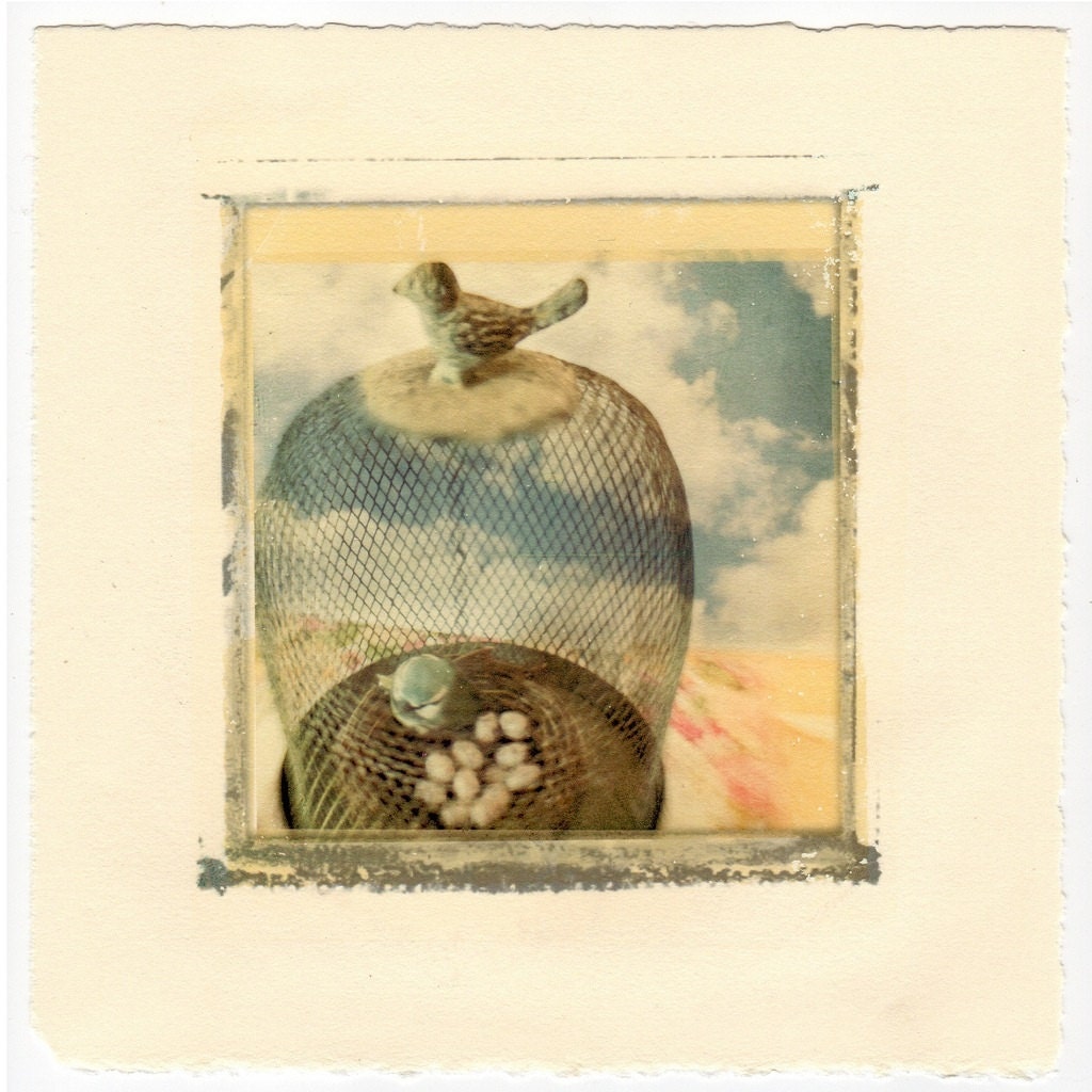 Fine Art Photography Inkjet Image Transfer Ird Cage Collage 8x8 Photo Modern Wall Decor, Office Decor