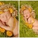 newborn photography prop lion hat and tail set