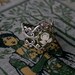 Green Rose Ring