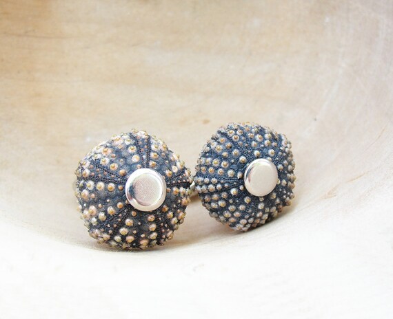 Sea Urchin Cufflinks - Brown