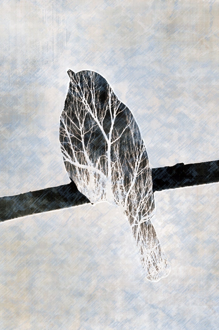 Tree Dreams 5 X 7 digital photo