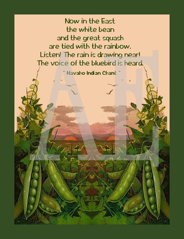 RC-017 Artistic Ephemera Recipe Cards - Set of 8 - Peas on the Vine, Navajo Native American Indian Chant - Also Available as Postcards