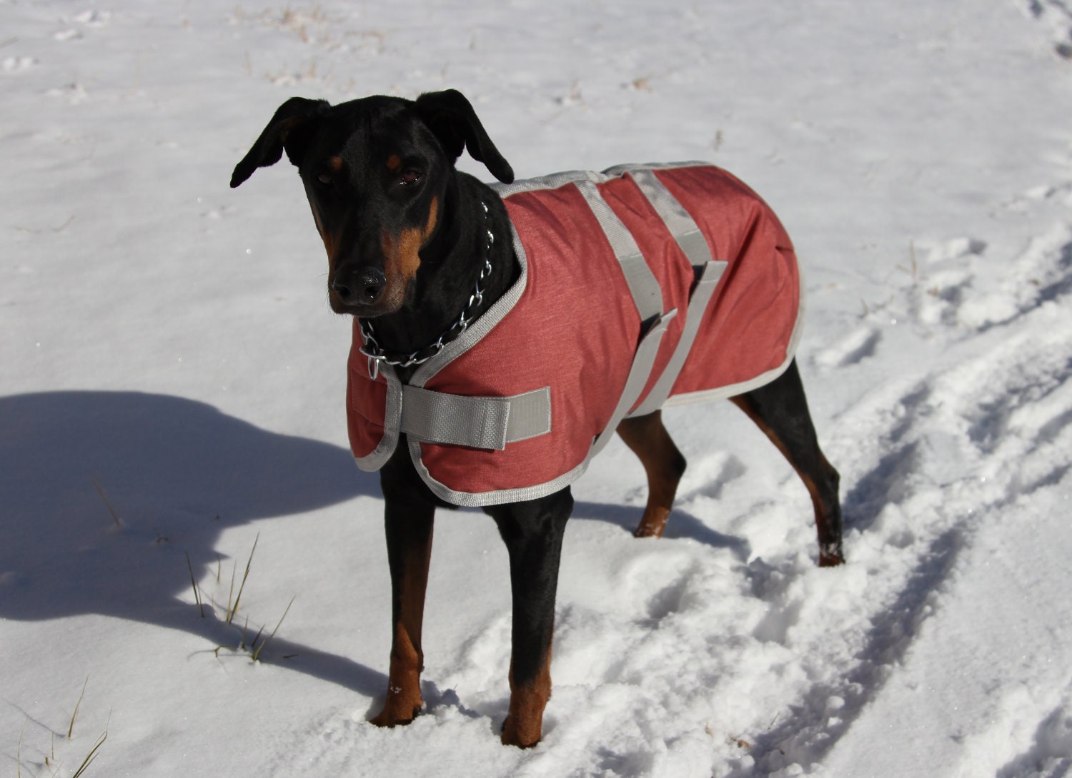 Warm Winter Dog Coat size 26 Doberman Large Dog by COZYHORSE