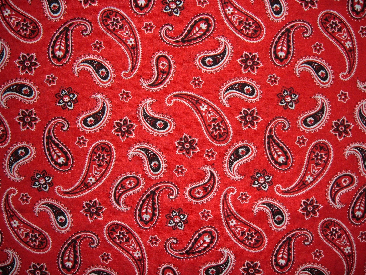 Bandana Red