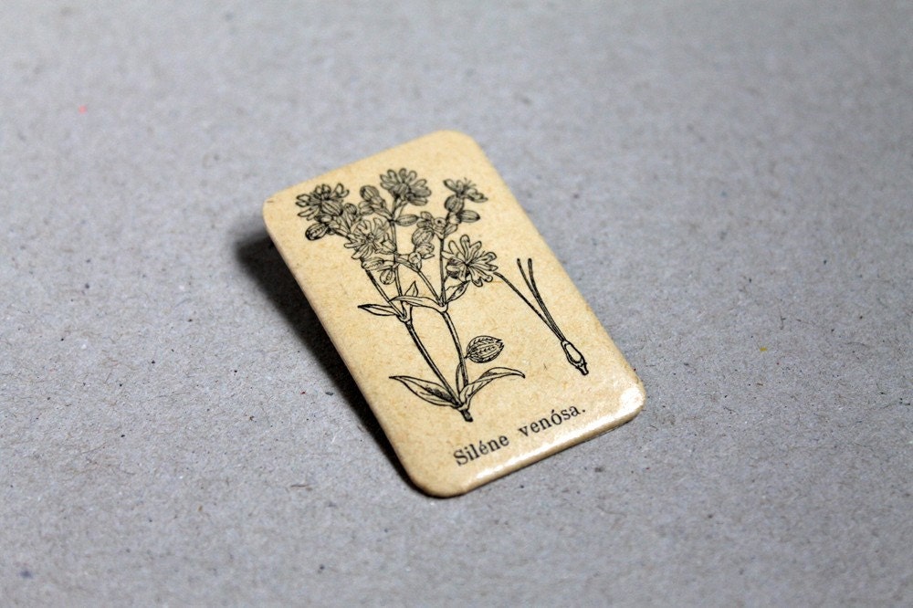 Botanical brooch - Silene venosa