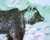 Bear Print on Vintage Map Canada - 5 x 7 Bear Map Print