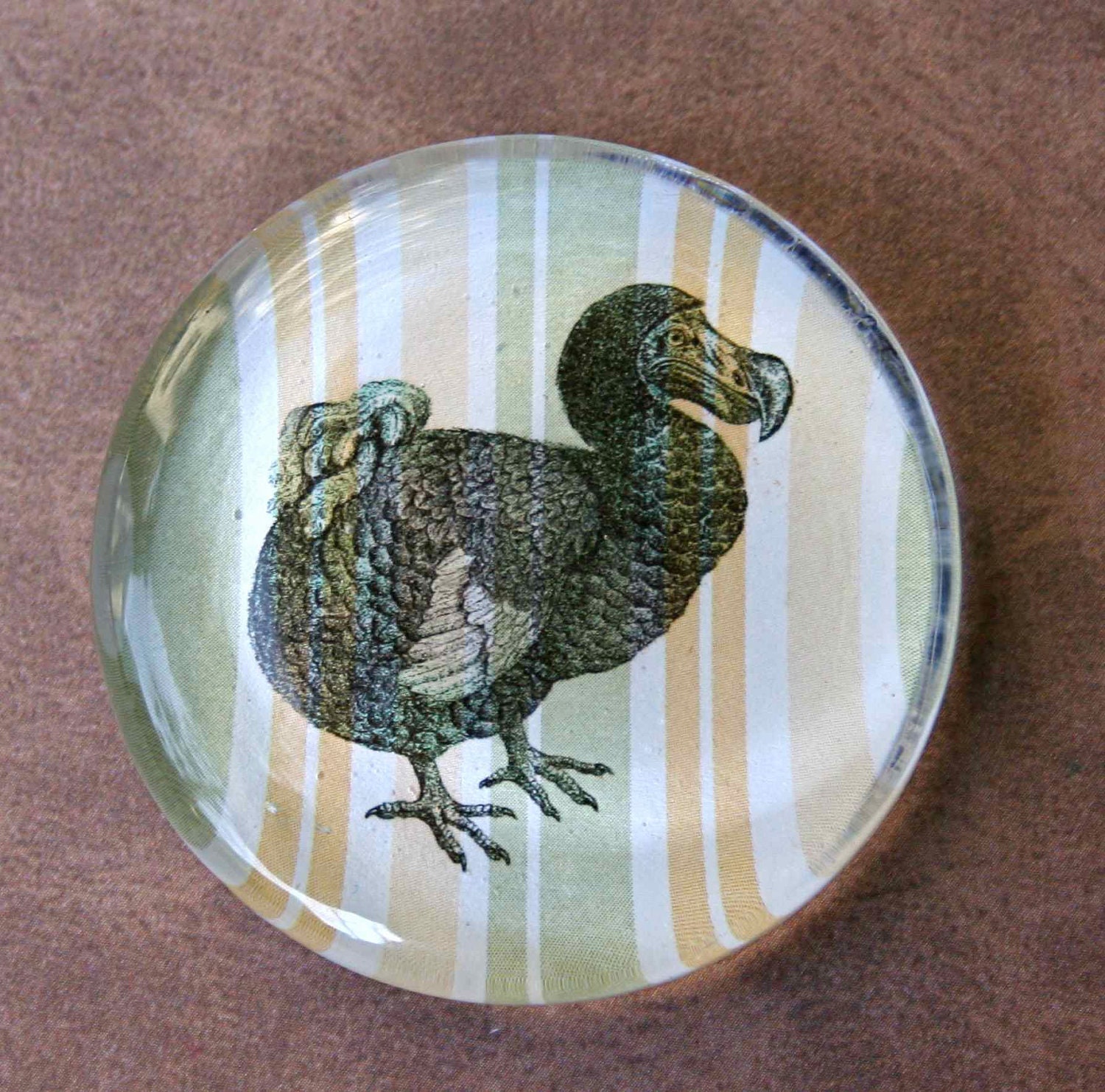 Dodo Magnet - Jumbo Glass Magnet of Dodo Bird