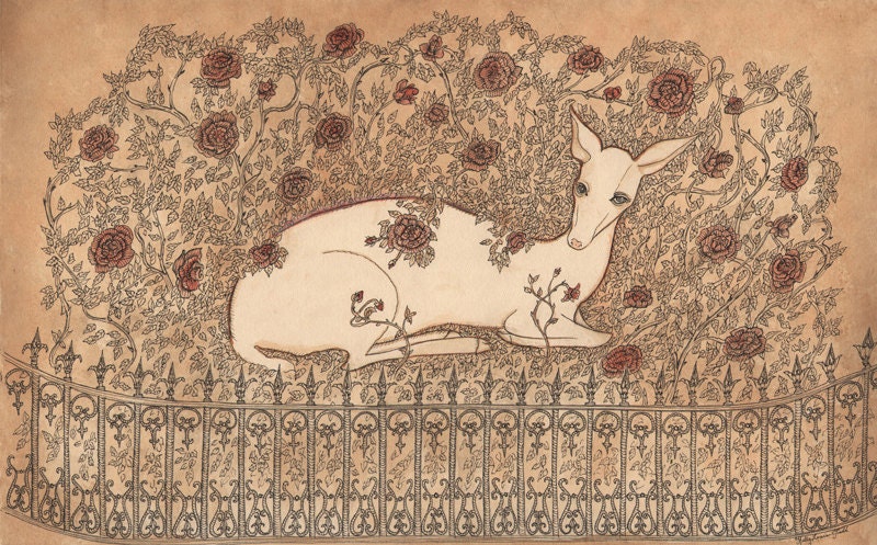 White Fawn - 11 x 17 Print
