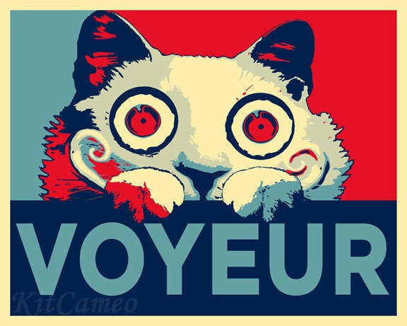 VOYEUR Cat Hope Propaganda, Graphic Design Print