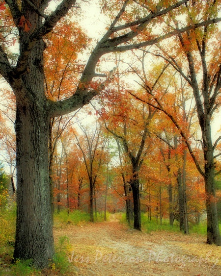 Fall Colors Photograph GA Autumn Leaves rustic wall art green brown orange red Landscape Nature Photography 8x10 Metallic Paper In Stock