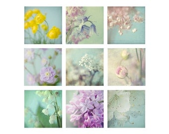 9 Abstract Flower  Photographs,  5 "  Square, Still Life Photos,  Shabby Chic, Floral Art Prints, Flower Wall Decor