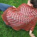 Curvature Shawl Pattern