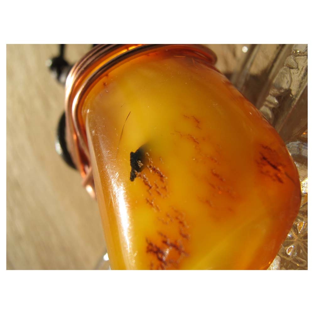 Natural - BALTIC AMBER - Encapsulated Wing