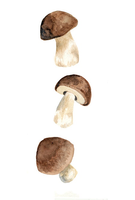 Porcinis- 5"x7" Velvet Giclee Print