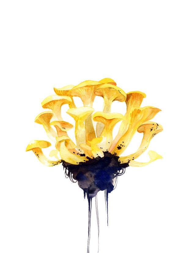 Chanterelles Giclee Archival Print 8.5"x11"