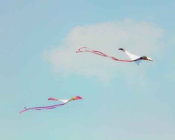 kites blue sky march winds clouds windy soaring high flying home cottage beach decor 8x10 - Wind Dance