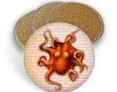 Set of 4 Coasters - OCTOPUS