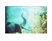 Elephant . Flora and Fauna Series. 8x10 Print
