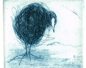 Original Etching, Hand Pulled Print of a Coot, Water bird, In Blue