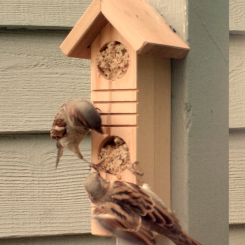 Recycled Wood Bird Feeder with Suet Plugs