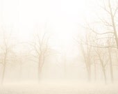30% OFF Nature photography, autumn photograph, bare trees, mist, forest, fog, landscape, magical, neutrals, minimalist, beige