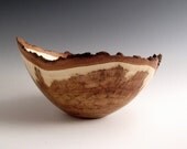 Bark Edge Sugar Maple Burl Wood Turned Bowl
