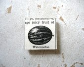 Watermelon Magnet, Fruit Magnet, Magnet, Recycled Upcycled Eco Friendly