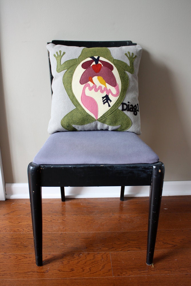 Science Diagram Pillow - Frog Dissection