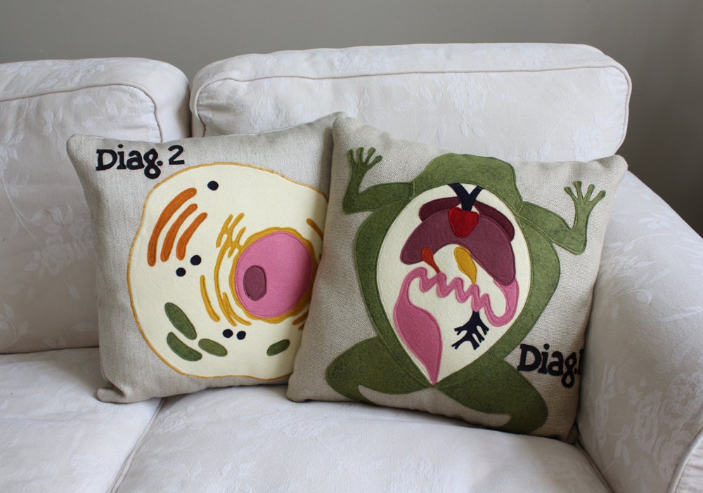 Science Diagram Pillow - Frog Dissection