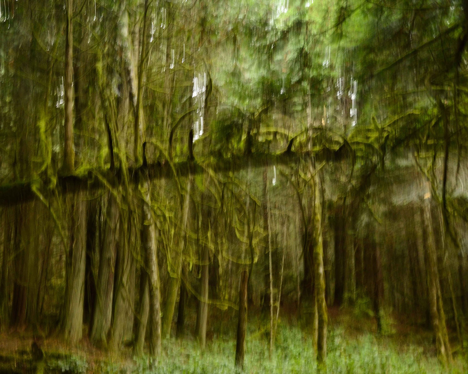 Galiano 1 (Photography, Digital, Canada, Home Decor)