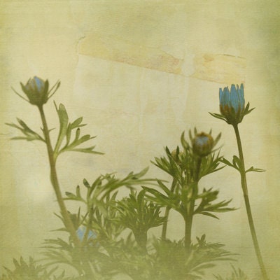 In Her World 8x8 Print