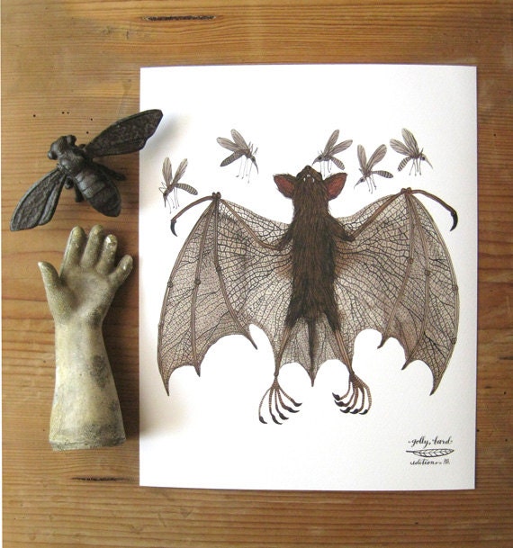 fruit bat specimen giclee archival art print  watercolor reproduction
