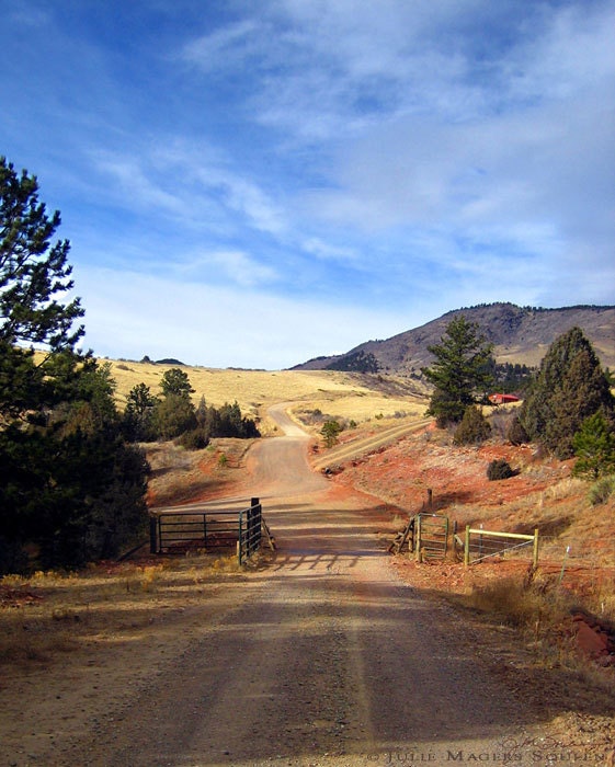 Country Road Photo -Western Art -Home on the Range -Ranch Decor -Colorado Landscape Photography -11x14 Colorado Fine Art Photograph