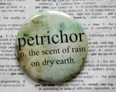Petrichor the scent of rain on dry earth Dr. Who Themed Pinback Button