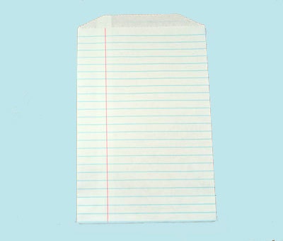 Notebook Favor Bags, Middy Bitty, Set of 20, 5 by 7 1/2 inches Il_570xn