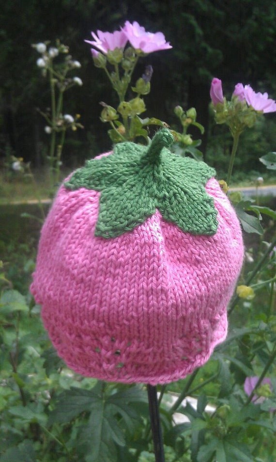 Flower Fairy Hat Baby 0 to 6 months Handknit in Maine Unique
