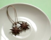 Brown Glitter Starburst Earrings