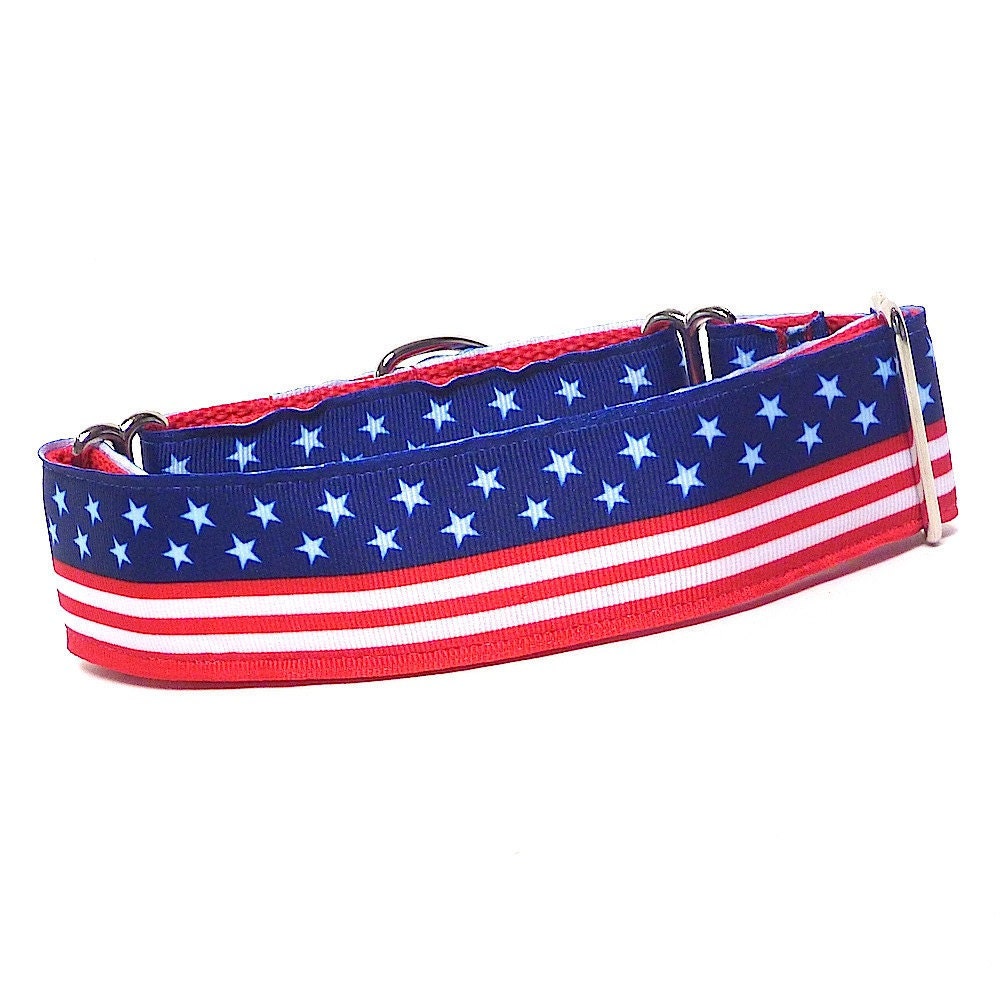 Patriotic Red and Blue American Flag Martingale Dog Collar