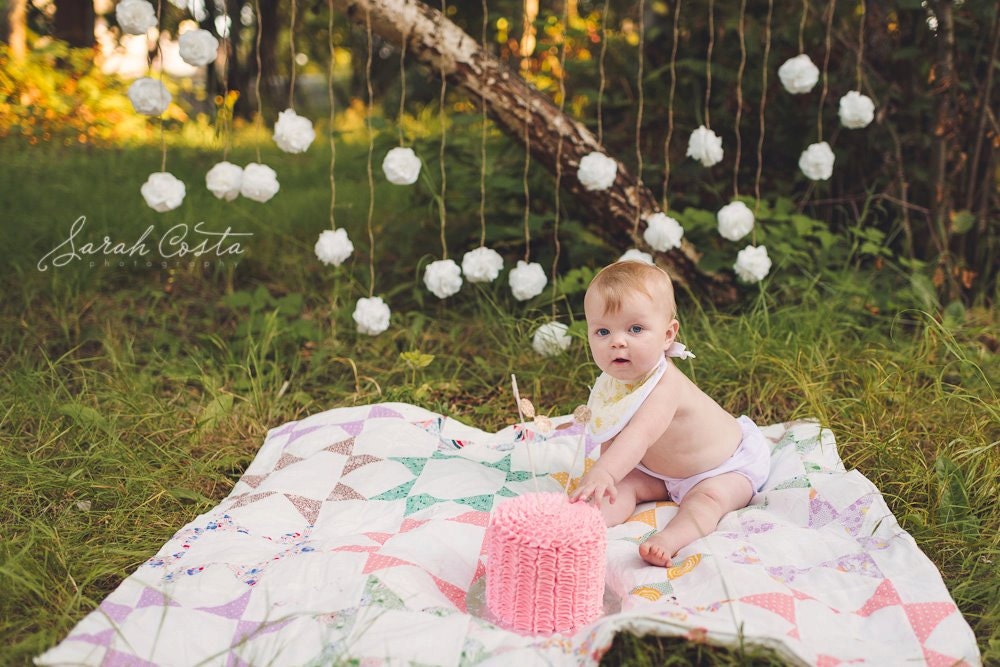 Tissue Paper Flower Wedding Garland, Photography Prop, Party Decoration