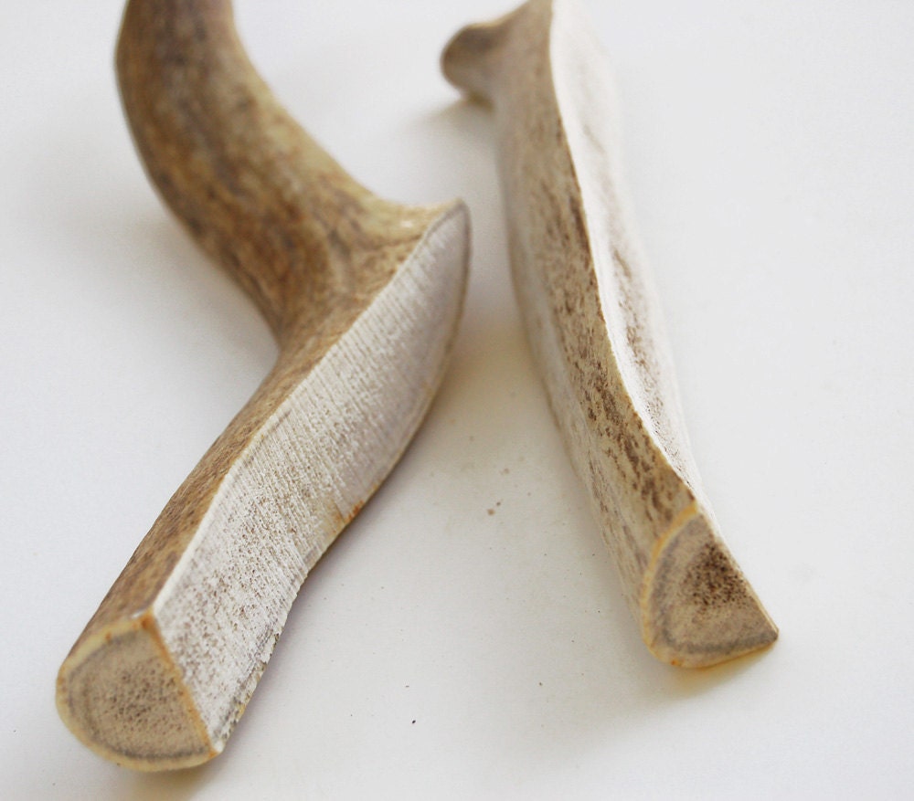 Antler Dog Chew--One Medium Size (split)