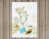 Western White Clematis - art print