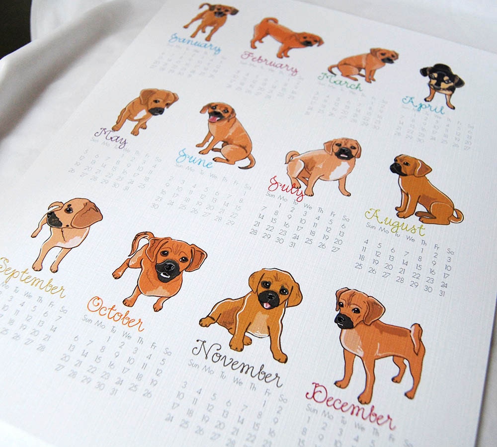 2013 Puggle Calendar Print - Eco-Friendly 8x10 Size