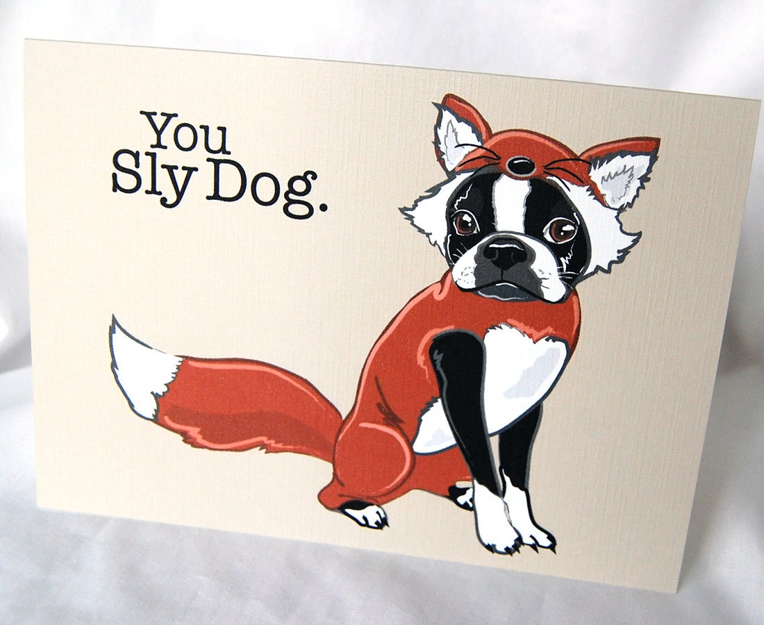 Foxy Boston Terrier Greeting Card
