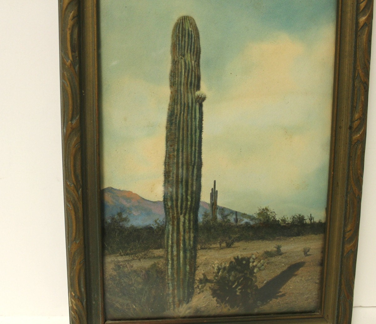 Antique J. R. Willis Photo Cactus Gallup NM New Mexico Original Frame J R JR