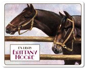 Friendly Horses Personalized Ex Libris Bookplate Labels - Graduation Gift