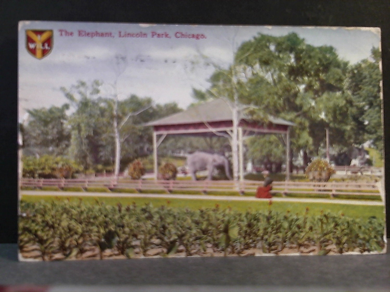 Postcard - ILLINOIS - The Elephant in Lincoln Park, Chicago, Illinois.( ERA 1901- 1907 ). Cancel 1911, less stamp. Postcard Item 9b