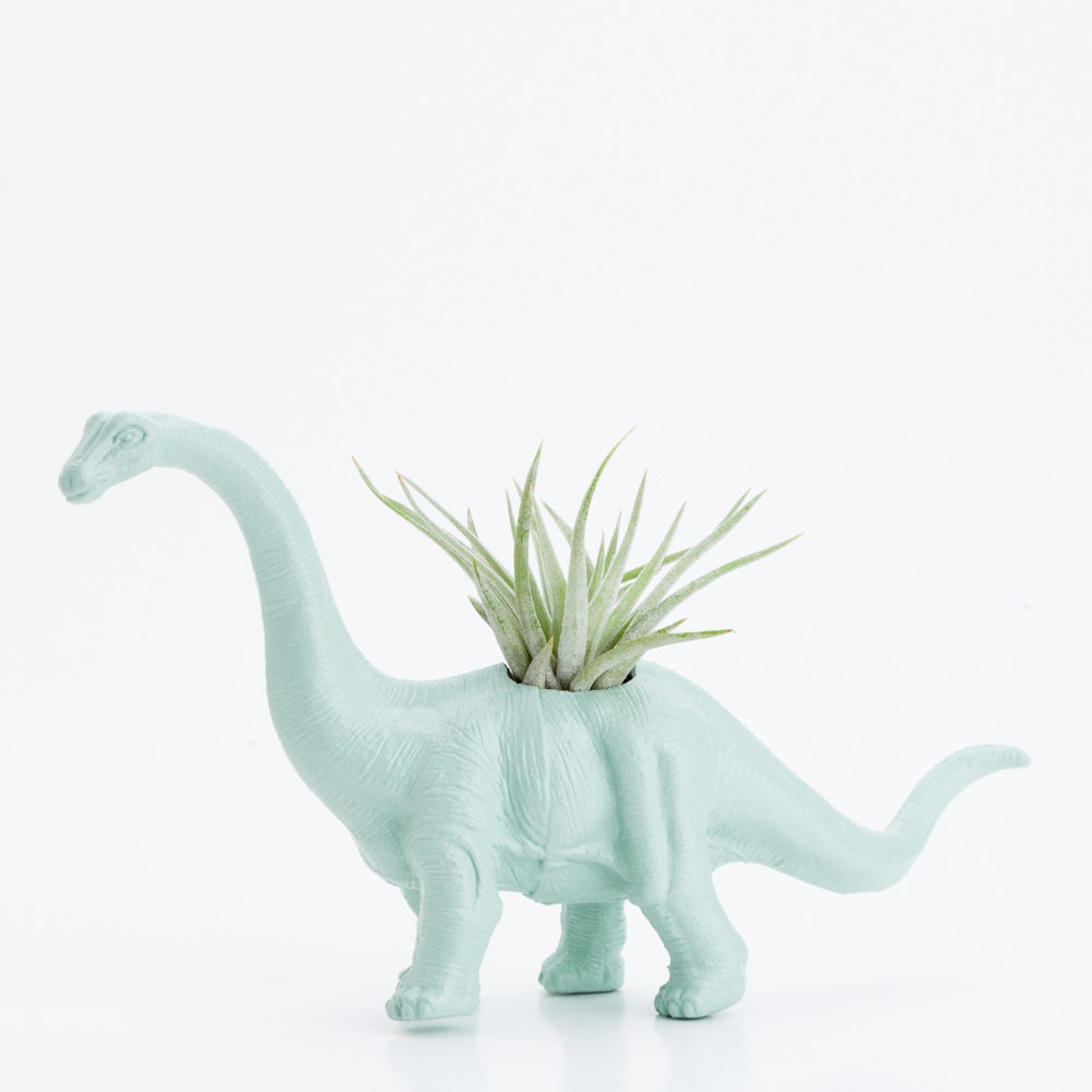 Small Dinosaur Planter with Air Plant Room Decor, College Dorm Geekery, Dinosaur Pot, Mint Green