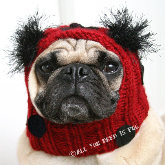 Dog Hat - Lovely Little Ladybug Hat