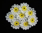 8  handmade  Crocheted   white   daisy   flowers  appliques/crafts/flowers/scrapbookings/embellishments